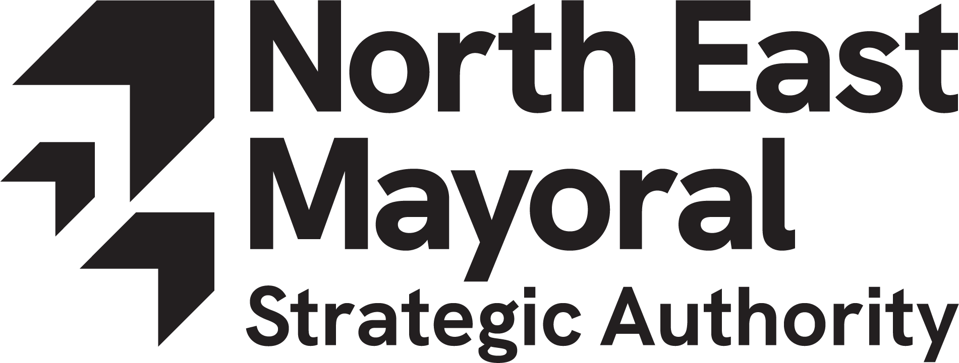 NEMSA Logo